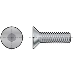 M10X120 Skt Countersunk Head Screw (GR-10.9)