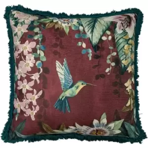 Paoletti Hanging Garden Hummingbird Cushion Cover (One Size) (Aubergine Purple)