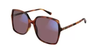 Gucci Sunglasses GG0544S 006