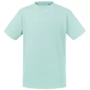 Russell Kids/Childrens Pure Organic T-Shirt (13-14 Years) (Aqua)