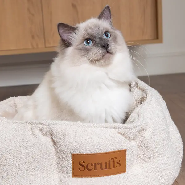 Scruffs Boucle Cat Bed Ivory