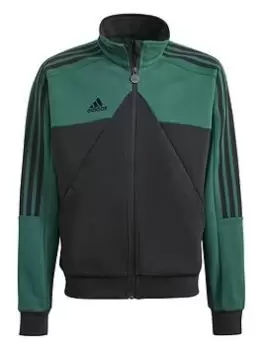 Adidas Sportswear Junior House Of Tiro Track Top