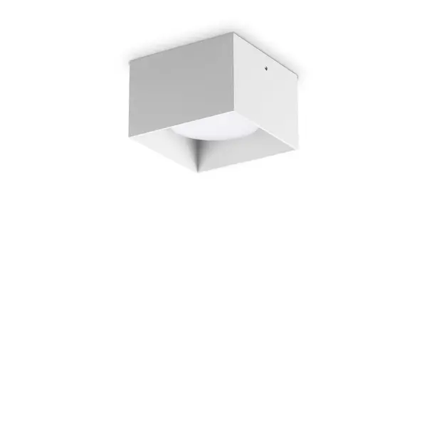 Spike Square Surface Mounted Downlight White