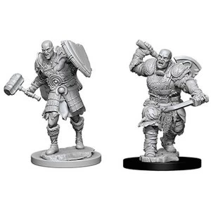 Dungeons & Dragons Nolzur's Marvelous Unpainted Miniatures (W7) Male Goliath Fighter