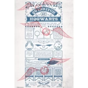 Harry Potter Quidditch at Hogwarts Maxi Poster