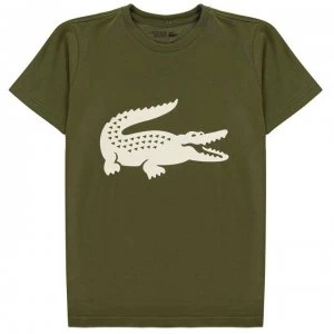 Lacoste Junior Boys Large Logo T Shirt - Khaki/White