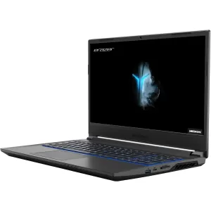 Medion Erazer P15603 15.6" Gaming Laptop