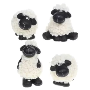 Black Faced Sheep Medium