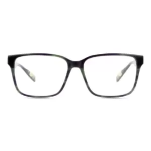 Ted Baker Noble TB 8198 Glasses