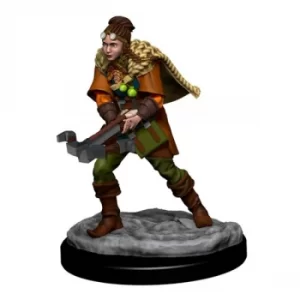 D&amp;D Icons of the Realms Premium Figures (W4) Human Ranger Female