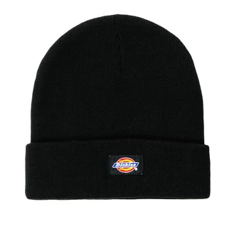 Dickies GIBSLAND BEANIE mens Beanie in Black