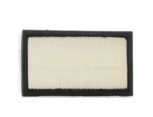 RIDEX Air filter BMW,FORD,BERTONE 8A0118 1247465,1247842,1287681 Engine air filter,Engine filter 1289650,13711247465,13721247840,13721247842,1707050