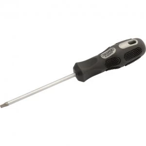 Draper Expert Security Torx Screwdriver T20 100mm