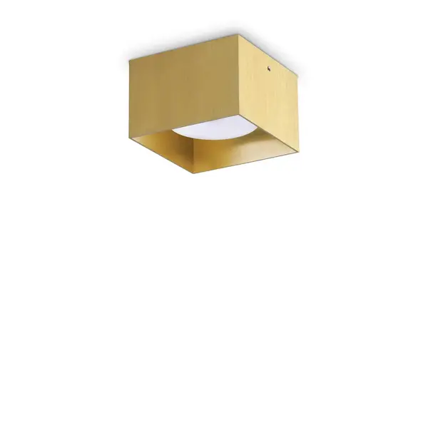 Spike Square Surface Mounted Downlight Brass