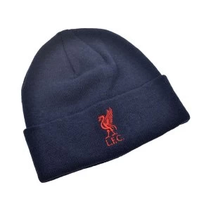 Liverpool Liverbird Knitted Turn Up Hat Navy Red