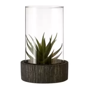 Olivia's Large Succulent With Black Stone Base