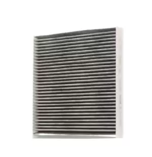 Bosch Pollen filter 1 987 435 551 Filter, interior air,Cabin filter FIAT,PEUGEOT,CITROEN,Ducato Kastenwagen (250_, 290_),Ducato Bus (250_, 290_)