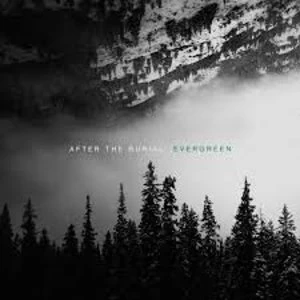 After The Burial - Evergreen Vinyl