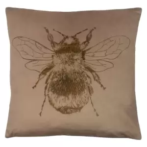 Nectar Bee Cushion Biscuit, Biscuit / 43 x 43cm / Cover Only