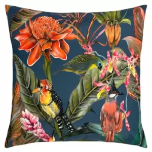 Exotics Outdoor Filled Cushion 43x43cm