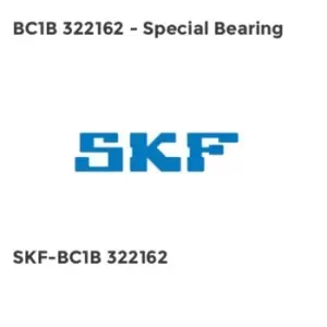 BC1B 322162 - Special Bearing