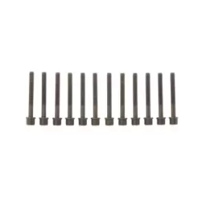 ELRING Cylinder Head Bolt Kit 819.850 Bolt Kit, cylinder head VW,AUDI,Passat Variant (33B),PASSAT (32B),PASSAT Stufenheck (32B),SANTANA (32B)