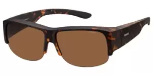 Polaroid Sunglasses PLD 9007/S Polarized V08/HE