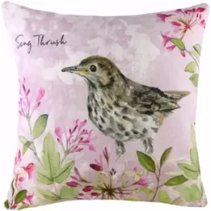 Evans Lichfield - Song Thrush Watercolour Print Cushion Cover, Multi, 43 x 43 Cm