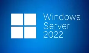 Microsoft Windows Remote Desktop Services 2022 - License - 1 User