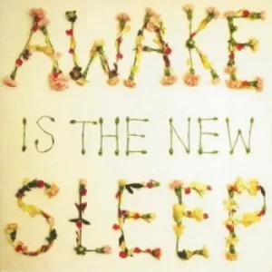 Awake Is the New Sleep by Ben Lee CD Album