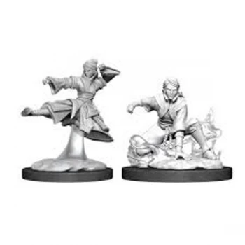 Dungeons & Dragons Nolzur's Marvelous Unpainted Miniatures (W11) Female Human Monk