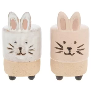 Pot Pals Salt & Pepper Bunnies