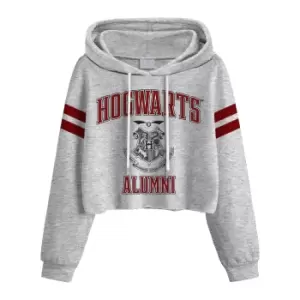 Harry Potter Womens/Ladies Hogwarts Alumni Crop Hoodie (XL) (Grey Heather)