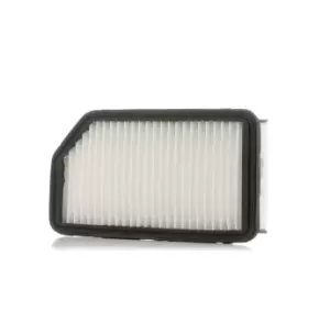 PURFLUX Air filter HYUNDAI,KIA A1343 281131J000,281131P000,281132K000 Engine air filter,Engine filter J1320328,J1320535