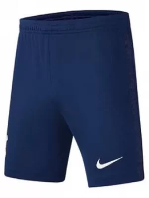 Nike Tottenham Youth 21/22 Home Shorts, Blue, Size S