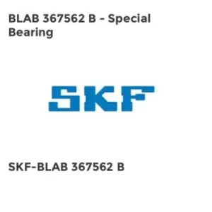 BLAB 367562 B - Special Bearing