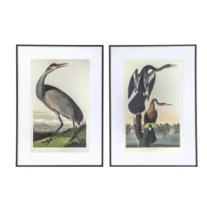 Set of 2 Exotic Foul Framed Art