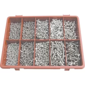 Pozi Pan Self Tapping Screw Kit A2 AVG-900PC