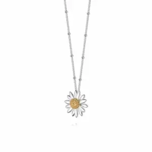 Daisy London Jewellery 925 Sterling Silver English Daisy Bobble Necklace Medium Sterling Silver