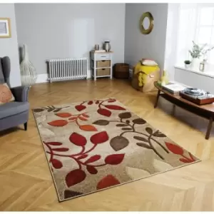 Portland 1096 M 120cm x 170cm Rectangle - Brown and Beige and Red