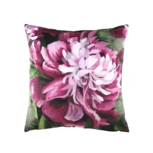 Evans Lichfield Winter Florals Peony Cushion Cover (43cm x 43cm) (Fuchsia/Green)