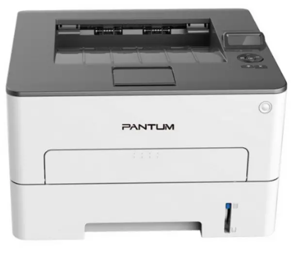 Pantum P3010DW Laser Printer