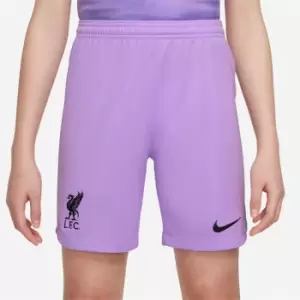 Nike Liverpool FC 2022/23 Home Nike DRI-FIT Goalkeeper Shorts Junior - Red