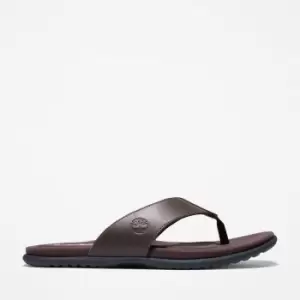 Timberland Kesler Cove Toe-bar Sandal For Men In Dark Brown Dark Brown, Size 6.5