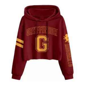 Harry Potter - College Style Gryffindor (SuperHeroes Inc. Cropped Pullover) Ex Ex Large