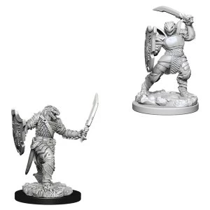 D&D Nolzur's Marvelous Unpainted Miniatures (W5) Dragonborn Female Paladin