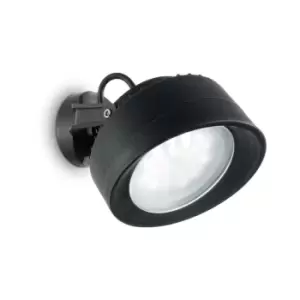 Tommy Outdoor Wall Lamp 1 Light Black IP66