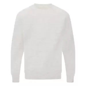 SG Mens Raglan Sleeve Crew Neck Sweatshirt (S) (Light Oxford)