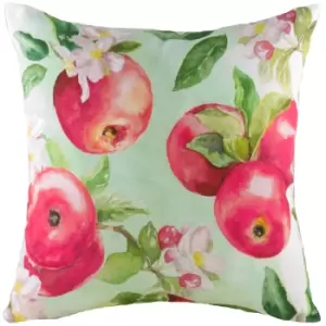 Fruit Apples Printed Cushion Multicolour