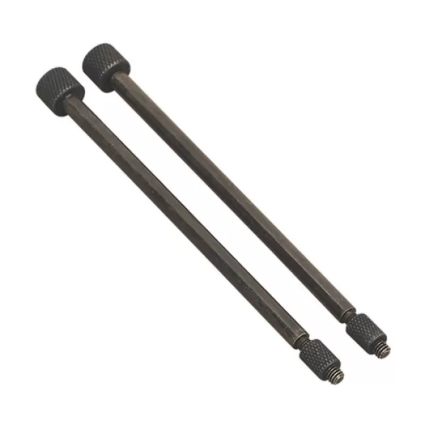 Sealey VS803/04 Door Hinge Removal Pins &#216;5.5 x 110mm Pack of 2